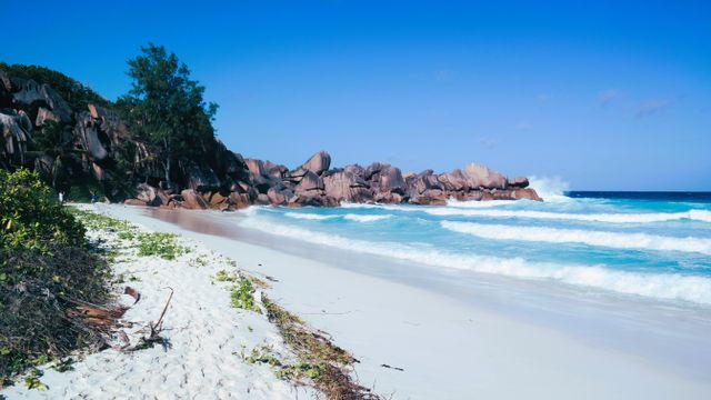 Zanzibar beach